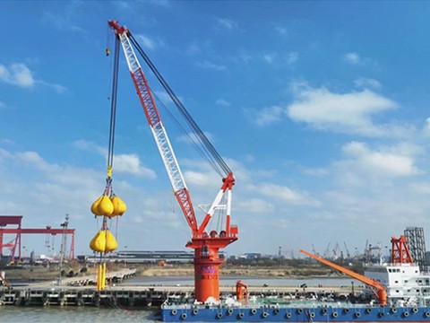 800t Marine Crane