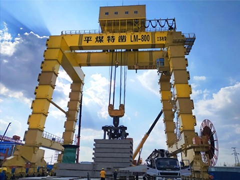 LM800t門(mén)式起重機(jī)