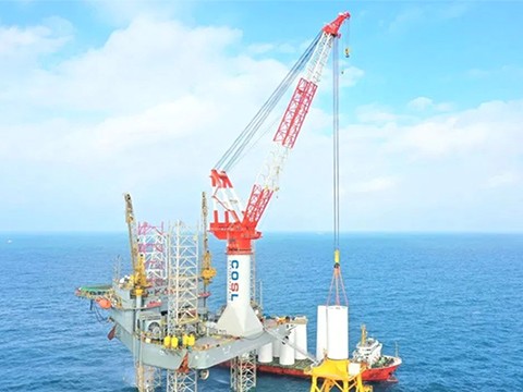 800t Offshore Crane